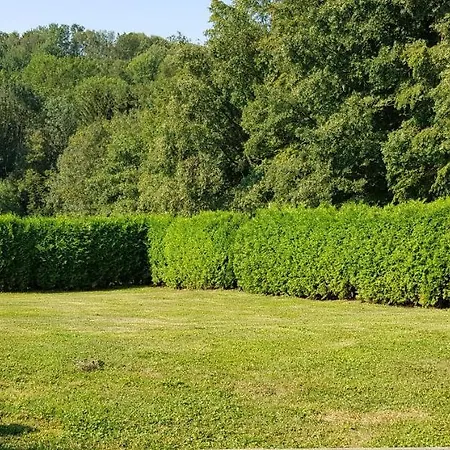 Ferienwohnung Betula Fürstenstein Esterno foto