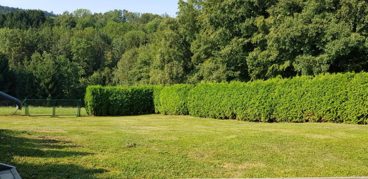 Betula